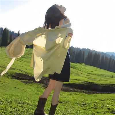 高分少女第二季